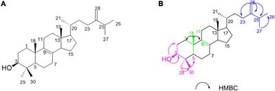 Identification of an ergosterol derivative with anti-melanoma effect from the sponge-derived fungus Pestalotiopsis sp. XWS03F09